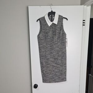 Calvin Klein Black and White Collared Midi Dress